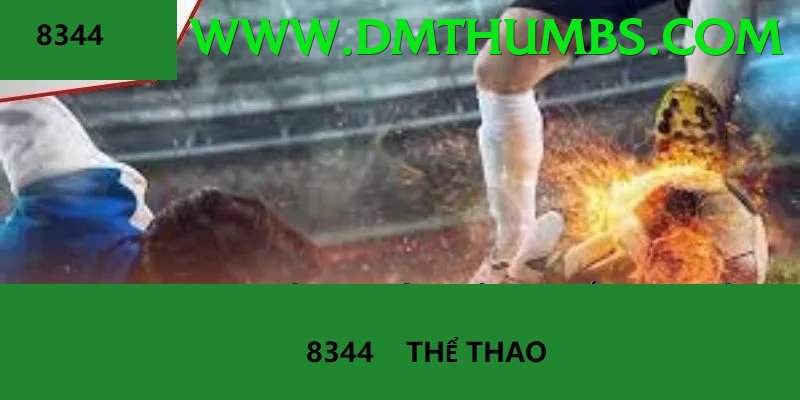 Cá Cược Thể Thao - so79